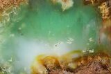 Polished Green Chrysoprase Slab - Western Australia #353698-1